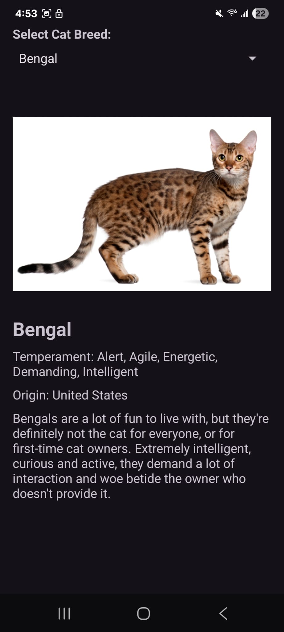 Cat Breed Browser — breed selected with details
